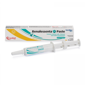 Renalessenta P paste 15 ml